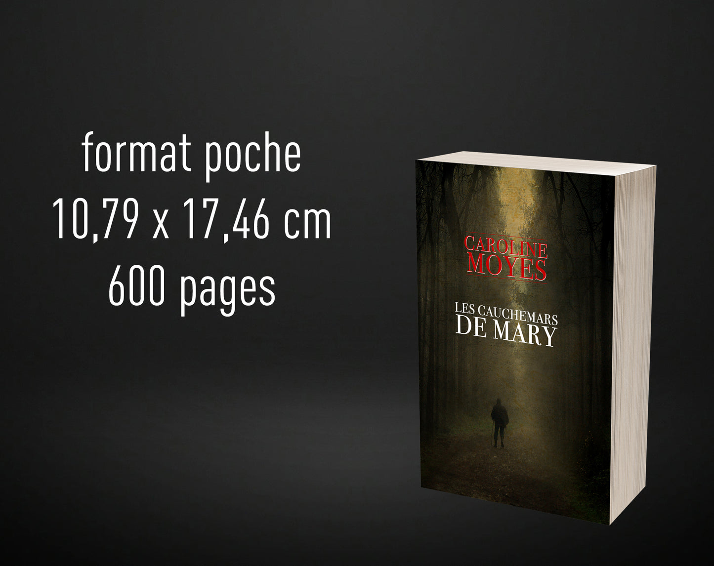 book test Babel (Français)