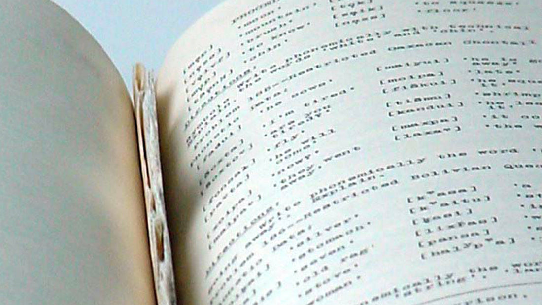 Borges 11 - Book of Infinity